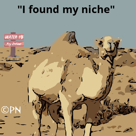 Water please camel stop