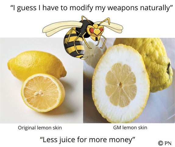 Revamped lemon skin