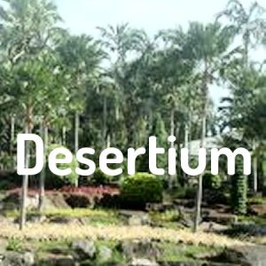 Desertium
