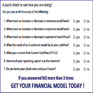 Professional Financial Models